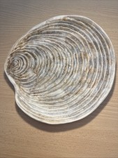 Assiette coquille guillot d'occasion  Andernos-les-Bains