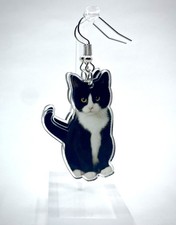 Acrylic dangle earrings for sale  Pittston