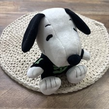 Hallmark snoopy peanuts for sale  Warwick