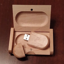 Chiavetta usb ecologica usato  Scapoli
