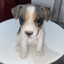 Jack russell puppy for sale  HARLOW