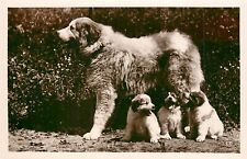 Rppc postcard great for sale  Redding