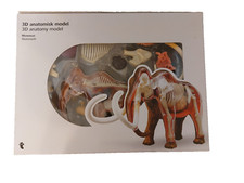 Modellbau anatomie 3d gebraucht kaufen  München