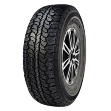 Gomme estive compasal usato  Nola