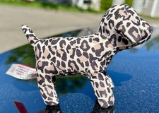 Last pup left for sale  Middletown