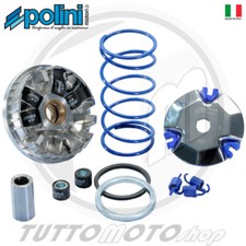 Variatore polini 241.670 usato  Serra d'Aiello
