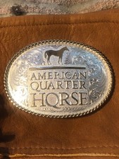 American quarter horse for sale  Gainesville