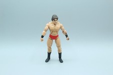 2007 jakks wwe for sale  Horseheads