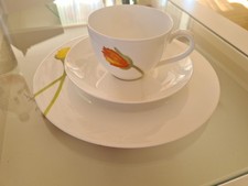 3tlg gedeck villeroy gebraucht kaufen  Berlin