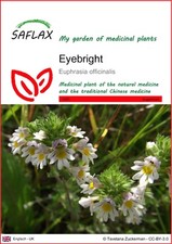 Saflax samen eyebright gebraucht kaufen  Münster