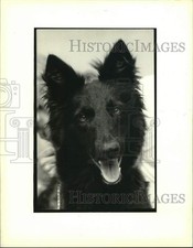 1989 press photo for sale  Memphis