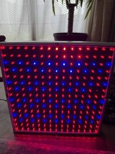 Led grow lights for sale  DUNSTABLE