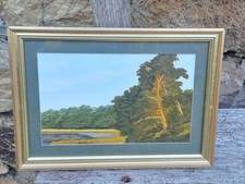 Tableau gouache pin d'occasion Tableau gouache pin d'occasion  Quimper