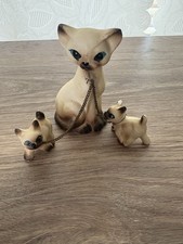 siamese kittens for sale siamese kittens for sale Waterville