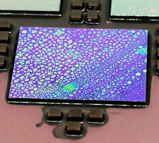 IBM MCM Power5 Ceramic cpu schönes Aussehen hochwertige Sammlung comprar usado  Enviando para Brazil