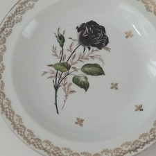 Assiette authentique porcelain d'occasion  Longwy
