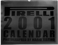 Pirelli kalender 2001 gebraucht kaufen  Breitungen