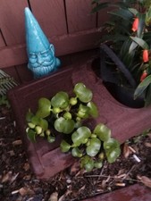 Medium box water for sale  Lakeland