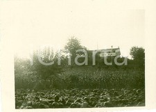 1932 crocetta del usato  Milano