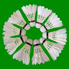 Badminton shuttlecocks tube for sale  WESTCLIFF-ON-SEA