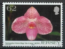 Paphiopedilum victoria village d'occasion  Expédié en Belgium
