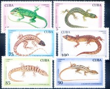 Fauna. piccoli rettili usato  Milano