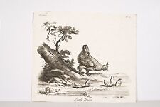 Gravure ancienne xviii d'occasion  Angers-