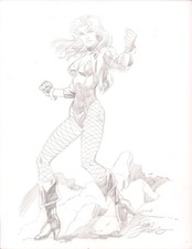 Black canary full for sale  Moonachie