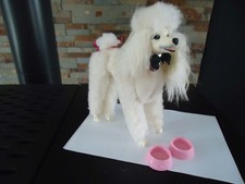 Barbie chien lord d'occasion  Genlis