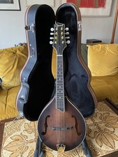 Ozark mandolin professional for sale  ALDEBURGH