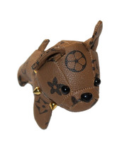 Brown chihuahua dog for sale  USA