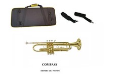 Compass 400121 tromba usato  Frattamaggiore