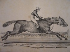 Grande lithographie equitation d'occasion  Brumath