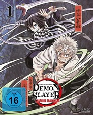 Demon slayer kimetsu gebraucht kaufen Demon slayer kimetsu gebraucht kaufen  Kalkar