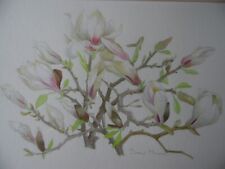 Magnolia blossoms original for sale  WEST MOLESEY