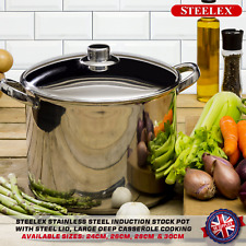 Steelex stainless steel for sale  STOCKPORT