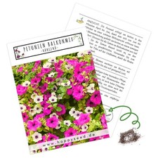 Blumensamen balkonkasten misch gebraucht kaufen  Blomberg