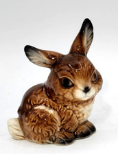 brown bunny for sale brown bunny for sale Centralia