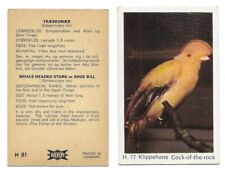 dandy gum cards animals for sale  PRESTON