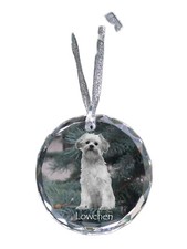 Leoncito - Bola Con Foto, Hundebild En Cristal, Personalizada Christ, usado comprar usado  Enviando para Brazil