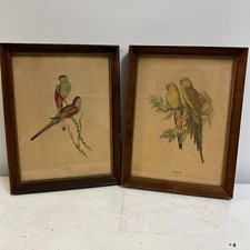 Vintage gould parakeet for sale  Oak Hill