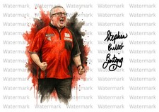 Stephen bunting darts for sale  TIPTON