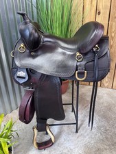 Big horn gaited for sale  Erie