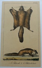 Lithos animalières claude d'occasion  Rochefort