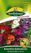 Kamelien balsamine mischung gebraucht kaufen  Pulheim