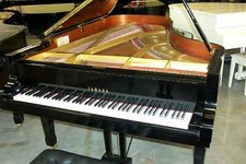 Yamaha 1992 grand for sale  Coral Springs
