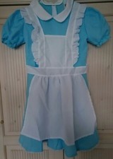 Mädchenkostüm kleid alice gebraucht kaufen  Kleve