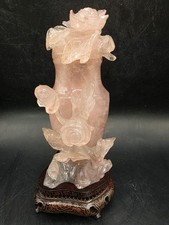 Stunning chinese rose for sale  Gainesville