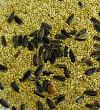 Exotic bird mix for sale  PETERSFIELD