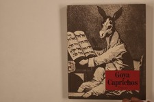 230537 francisco goya gebraucht kaufen  Düsseldorf